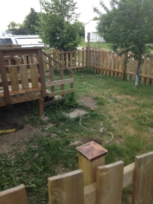 The dog has her own fenced area in front.