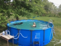 We added a pool this summer.